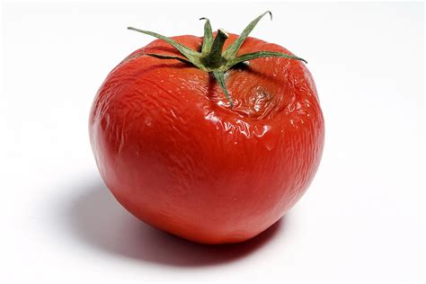 Rotten Tomatoes Podcasts. . Rotten tomato